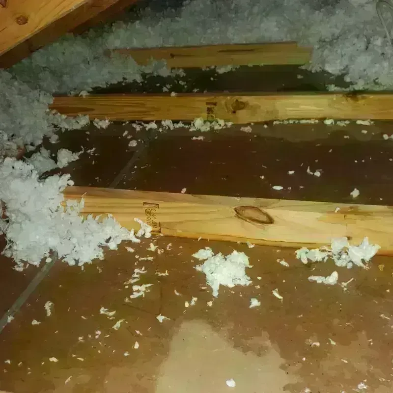 Attic Water Damage in Burlington, ND