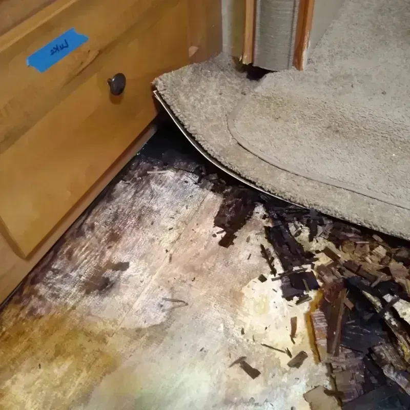 Best Wood Floor Water Damage Service in Burlington, ND